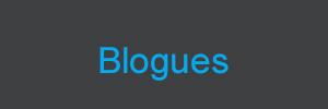 BLOGUES
nom masculin
Journal personnel, chronique d'humeur sur Internet. - Le Robert